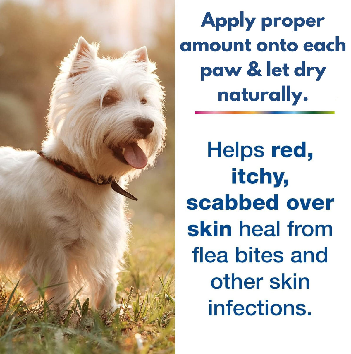 Baaww Dog Skin Rash Gel, 40 ml